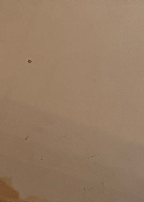 Flooring project photo 22
