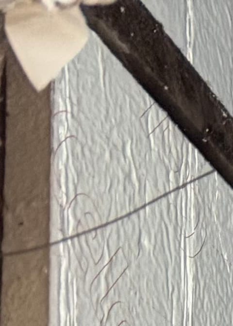 Hastings project photo 5