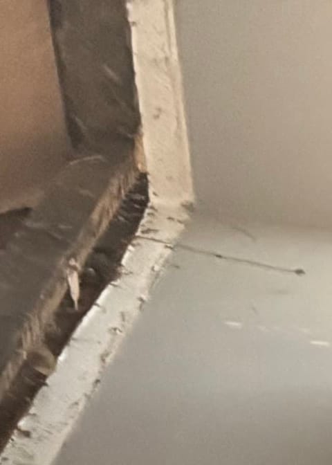 Hastings project photo 8
