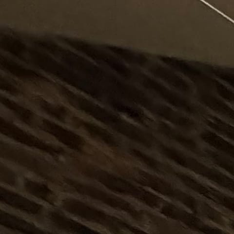 Hastings project photo 19